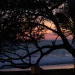 costa-rica_050512_6235