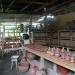 costa-rica_050512_5782