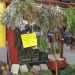 costa-rica_042812_5175