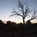 moab_02_070310_6560