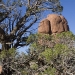 moab_070310_5555